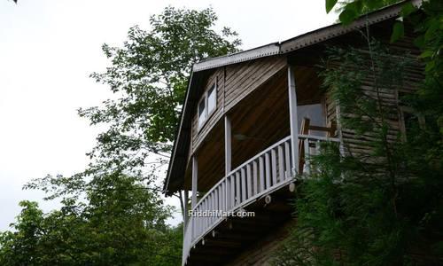 Tree House